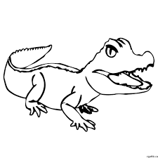 Shop unique custom made canvas prints, framed prints, posters, tapestries, and more. Cartoon Alligator Drawing In 4 Steps With Photoshop