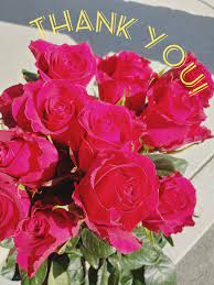 2851 e palmer wasilla hwy, unit 1, wasilla, ak. Flowers By Louise Inc Home Facebook