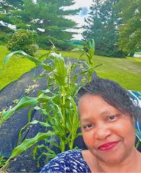 Introduction to gardening adventures and experiences in Grow Your Own  Vegetables Garden