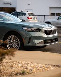 Image result for Cape York Green 2024 i5