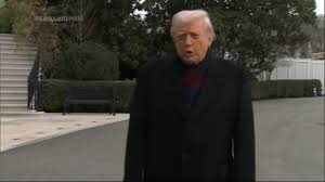 Mc ig mari avila porno