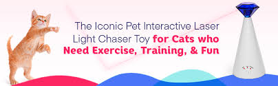Muly interactive cat laser toy best. Amazon Com Iconic Pet Fun Safe Automatic Light Chaser Interactive Laser Cat Toy With Laser Pointer For Pets Exercise Training Toy 360 Degrees Rotating With 3 Speed Adjustable Mode Pet Supplies