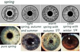 Rayid Iridology 18