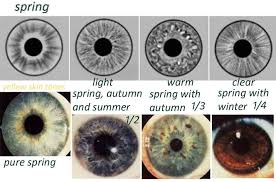 rayid iridology 18