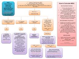 Ekg Flowchart Mini Ii Version And Regular