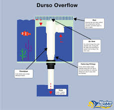 How Durso Herbie And Bean Animal Overflows Work Marine Depot Blog Aquarium Sump Saltwater Aquarium Beginner Aquarium Maintenance
