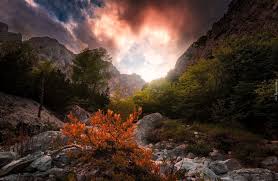 Słowenia (republika słowenii) to niewielkie państwo w środkowej europie, położone na pograniczu półwyspu bałkańskiego i alp wschodnich. Slowenia Gory Alpy Julijskie Triglavski Park Narodowy Drzewa Skaly Zachod Slonca Sky Images Landscape Sunrise Sunset