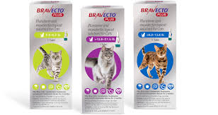 The prevalence rate of heartworm disease in unprotected cats is causes of heartworm in cats. Fda Approves Broad Spectrum Bravecto Plus For Cats Today S Veterinary Business