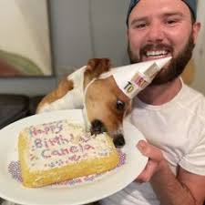 Puppy training camp near me. Best Dog Boot Camp Near Me July 2021 Find Nearby Dog Boot Camp Reviews Yelp
