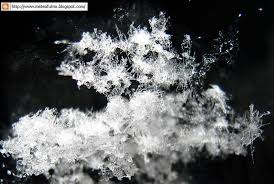 Check spelling or type a new query. Neve A Bergamo Foto Affascinanti Ai Fiocchi Di Neve