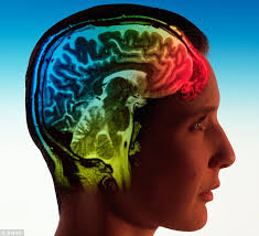 Image result for Researchers Connect A Human Mind To The Internet For The First Time Ever