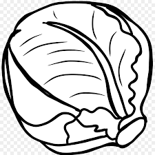 Sayuran kol atau kubis memang tetap nikmat meski dikonsumsi mentah. Kubis Sayuran Kubis Merah Gambar Png