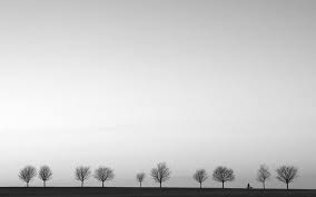 Black And White Landscape Black And White Photography Landscape Photography