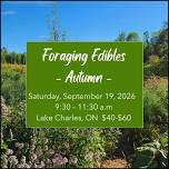 Foraging Edibles in Autumn