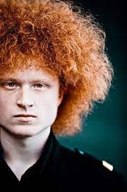 Pin On For Redheads Ginger Snaps