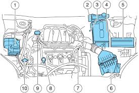 View & download of more than 2432 ford pdf user manuals, service manuals, operating guides. Butterfly Agustus 2009