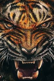 Maybe you would like to learn more about one of these? Tigre Je L Ai Dit Maintenant Fond D Ecran Telecharger Sur Votre Mobile Depuis Phoneky