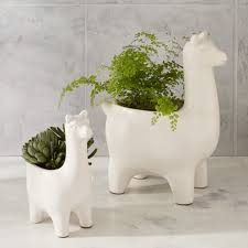 Последние твиты от west elm (@westelm). Best Modern Pots And Planters From West Elm Apartment Therapy