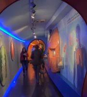 Das haus der natur liegt in mitten der salzburger altstadt am linken salzachufer: Haus Der Natur Salzburg Aktuelle 2021 Lohnt Es Sich Mit Fotos Tripadvisor