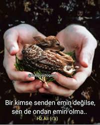Gul Un Dostu Dogan Adli Kullanicinin Hulyaerdogan1 Panosundaki Pin Guzel Soz Ozlu Sozler Okuma Calismasi