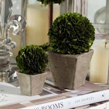 Maybe you would like to learn more about one of these? Preserved Boxwood Ball In Square Pot Greenery Topiary 2 Sizes Yard Garden Outdoor Living Seed Starting Pots Trays
