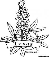 Getcolorings.com has more than 600 thousand printable coloring pages on sixteen thousand topics thousands of printable coloring pages, for kids and adults! Bluebonnet Coloring Page Free Drawing Board Weekly