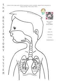 These alphabet coloring sheets will help little ones identify uppercase and lowercase versions of each letter. Respiratory System Colouring Page Including A Free Audio Recording