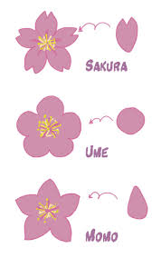 Japon, japonais, voyage, manga, traduction, dictionnaire, dessin animé, drama, asie, otaku le 日仏辞典 (nichifutsu jiten) est un dictionnaire japonais/français collaboratif qui s'appuie sur la. Didizuka Pense Bete Differencier Les Fleurs De Cerisier Prunier Et Pecher Japonais
