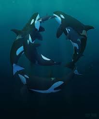 Orca Art Orca Ocean Animals Orca Whales