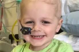 Wrexham v Newcastle United U21s LIVE: Dragons face Magpies in EFL Trophy  clash