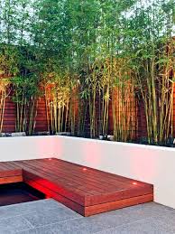These bamboo garden design ideas will bring good fortune, love, and optimum health to your homes. Bamboo Garden Ideas Bamboo Garden Home Ideas Our Website Is A Useful Resource For Viral Trending