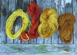 Texas Dandelion Dye Deep In The Heart Of Textiles How To Dye Fabric Dandelion Dye