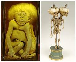 Check spelling or type a new query. Ingin Share Artikel Kejadian Aneh Video Lucu Unik Dll Lion Sculpture Art Sculpture