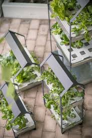 New From Ikea A Hydroponic Countertop Garden Kit Hydroponic Gardening Hydroponics Diy Hydroponic Growing