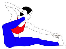 Akarna Dhanurasana Archer S Yoga Pose Sarvyoga Yoga