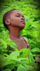 Original Songs Announcement by Daniel na Mungeri