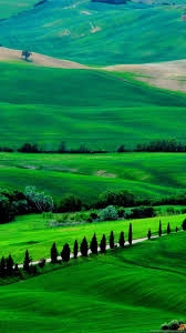 Best full hd 1920x1080 wallpapers of nature. 50 Widescreen Hd Nature Wallpapers Desktop Background