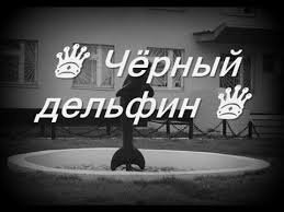 скачать песню черным по белому или белым по черному Chyornyj Delfin Tekst Lyrics Youtube Music Heals Music Youtube