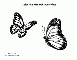 Printable butterfly coloring pages number38 info. Monarch Butterfly Coloring Page High Quality Coloring Pages Coloring Home