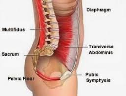 The Noatbook Why Core Strength Is Important For Your Child And Fun Ways To Improve It Mommy Workout Exercise Core Workout