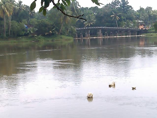 Chengannur | walkforpamba