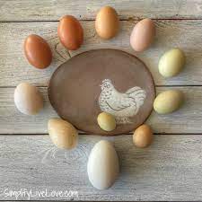 You Can Eat That 5 Delicious Types Of Eggs That Aren T Chicken Simplify Live Love