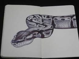 We did not find results for: I Ve Spent The Past Year Trying To Draw The Most Detailed Animals As Possible Snake Drawing Snake Art Animal Drawings