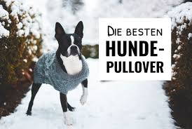 This listing includes tutorial and… Empfehlenswerte Hundepullover 2021 Hundefunde