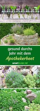 Naturlich Gesund Mit Dem Apotheker Beet Garten Apotheker Garten Hochbeet