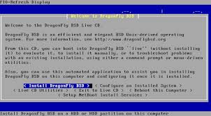 Image result for Computers Software Operating Systems Unix BSD DragonFly
