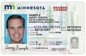 They allow jeremie (or whoever is operating the computer) to see who or what is on lyoko and how many life points they have. Dvs Home New Driver S License And Id Card Designs