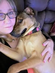 Fed her around 10. Using 50g of everything I think she's happy