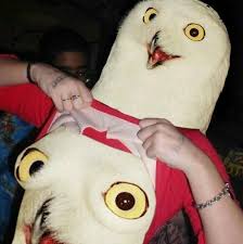 images?q=tbn:ANd9GcSvTKvBfFvD6PzpN50kTIw