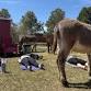 Wild Ass Yoga - 2026